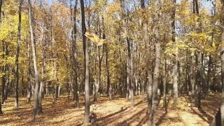 Flashing in AUTUMN Park # Public NO PANTIES