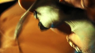 Two cocks for young gay