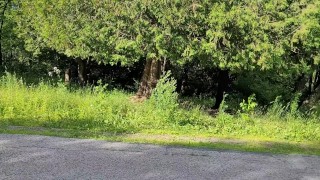 Securing my clothes away, left naked to play with my buttplug, near a public road