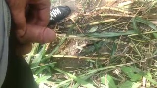 Orinando en el campo