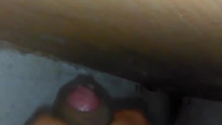 Húmedo paja