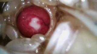 Internal view of me cumming inside previously creampied Fleshlight Quickshots