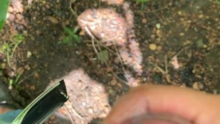 18 años joven se masturba en publico - Cum Shot