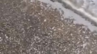 Pissing together off the highway