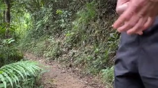 森の中で発射を試みる