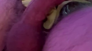 Hairy Bear Cums Quick When Knotted