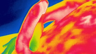 Thermal edging session, 4 back-to-back orgasms