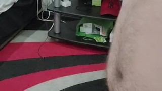 Last work for the year got me horny at home