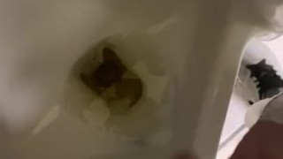 Ran to public urinal desperate to piss in my sweat pants caught recording