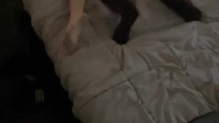 Pornhubs beginnings pt 2