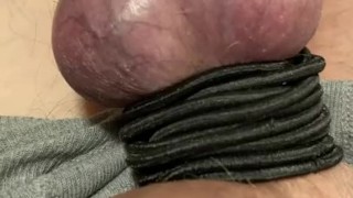 The veins