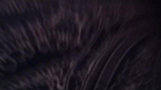 Masturbando mi chochito