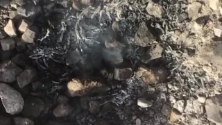 Slow motion piss too put out the campfire in the desert