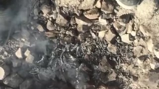 Slow motion piss too put out the campfire in the desert