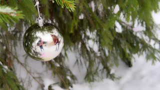 Winter outdoor pissing near the Christmas tree. Yellow snow. Undressing on cold. UHD 4K 60fps