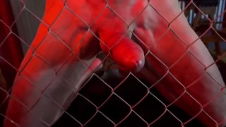 Mydaddee Film Chainlink