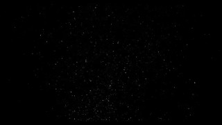 BLACK GAY GLOSSY PVC-VINYL