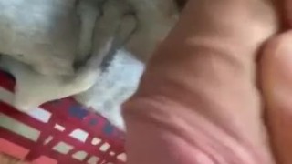 Huge Dick Jerk Off
