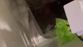 Peek a boo 👻 ChocDelite8 for my content