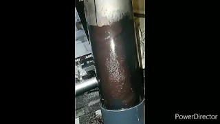 2. PACKS of boys pussies