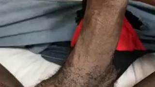 Good Morning Wood