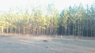 The Naked Rang-Slanger 15