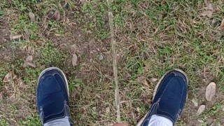 Backyard Pissing