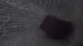 Je rempli l'intérieur de mes chaussette de foutre