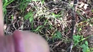 Pissing