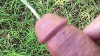 More piss