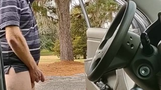 Ginger cruising the park