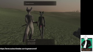 furry captain fucks around and finds out