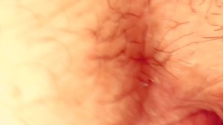 visel bi latino hraje s mou dírou a pak ji orá