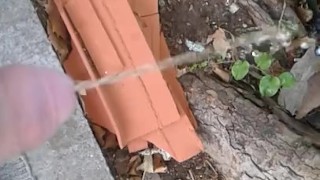Peeing in public 5