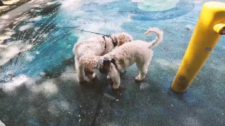 Hiking and Fucking Rough and Hard!!