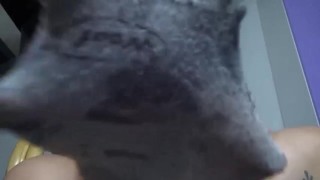 GET OBSESSED WITH LADY SOCKETTE