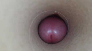 Suck my dick and swallow a huge load of sticky cum POV