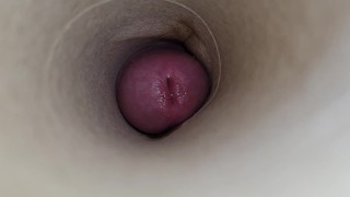 Suck my dick and swallow a huge load of sticky cum POV