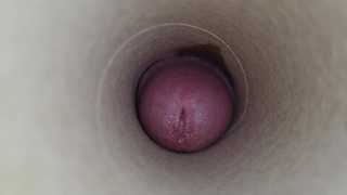 Suck my dick and swallow a huge load of sticky cum POV