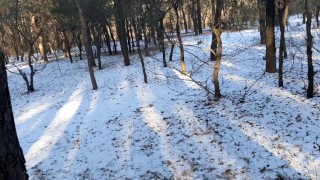 I invited my neighbor to a picnic in the forest and seduced her - Lesbian_illusion