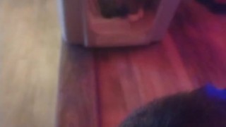 Cute cat makes his kitty litter his bed part 2