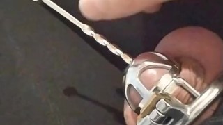 Chastity cage