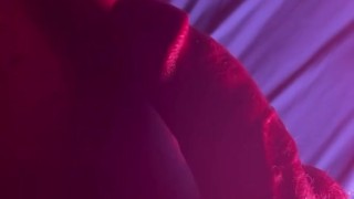 What would you do with my hard cock?