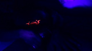 Incubus Glow in The Dark Jack Off