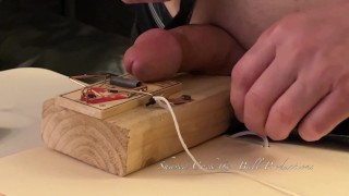 SNAP! Torturing Cock With Mousetrap 6 Times!