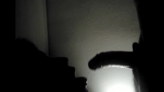 Silhouette Blowjob & Cumshot