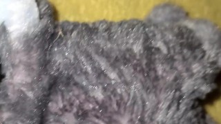 Chubby white guy cumming like a waterfall on a plushie 001