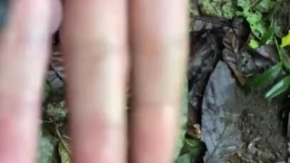 Big cock, precum and nature