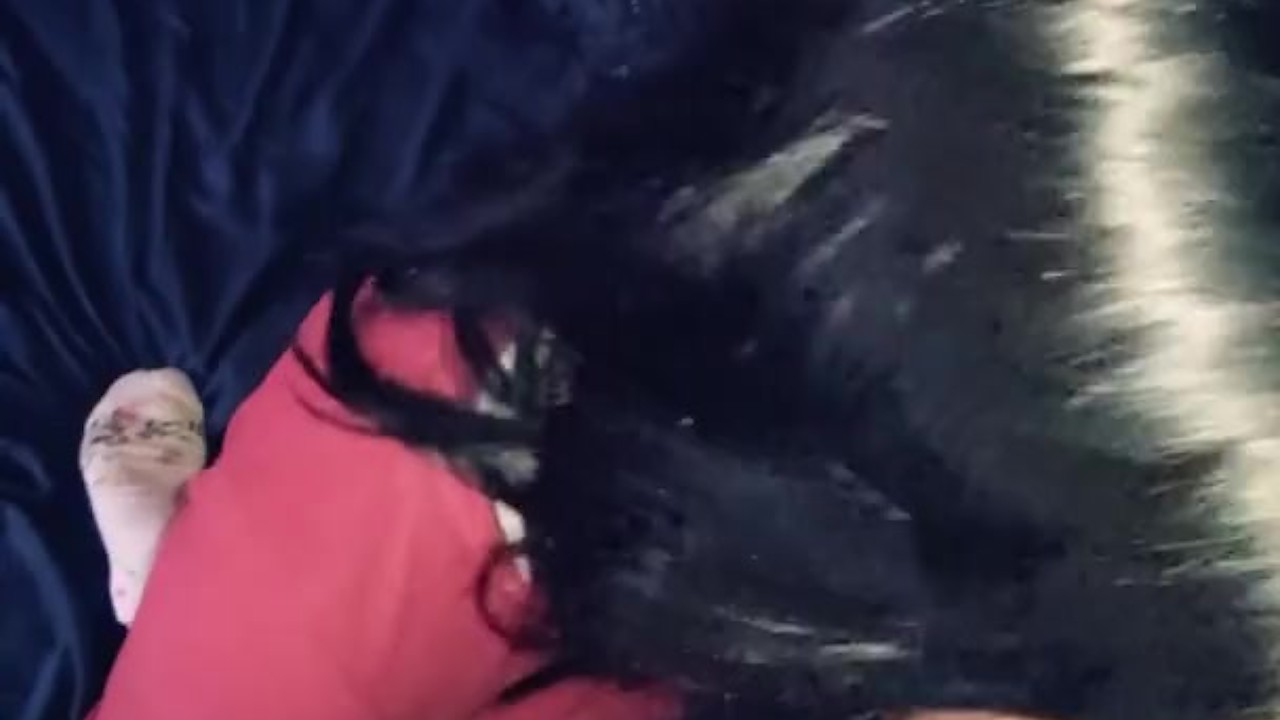 Horny Peruvian fucked on home video (Video Completo) -IndiansPorno