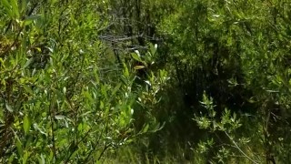 RockyMtnBB Weighted Big Balls Nature Public